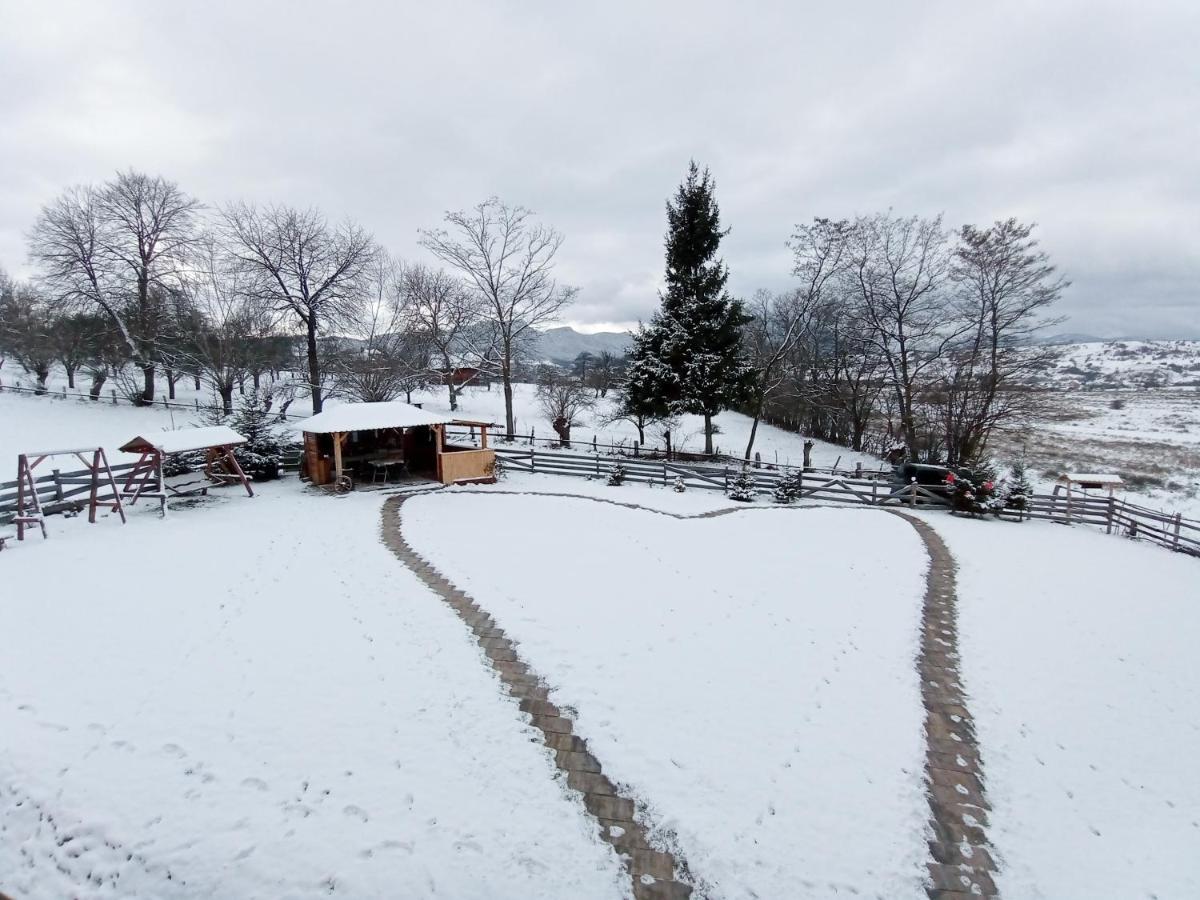 Vila Rem Bran  Bagian luar foto