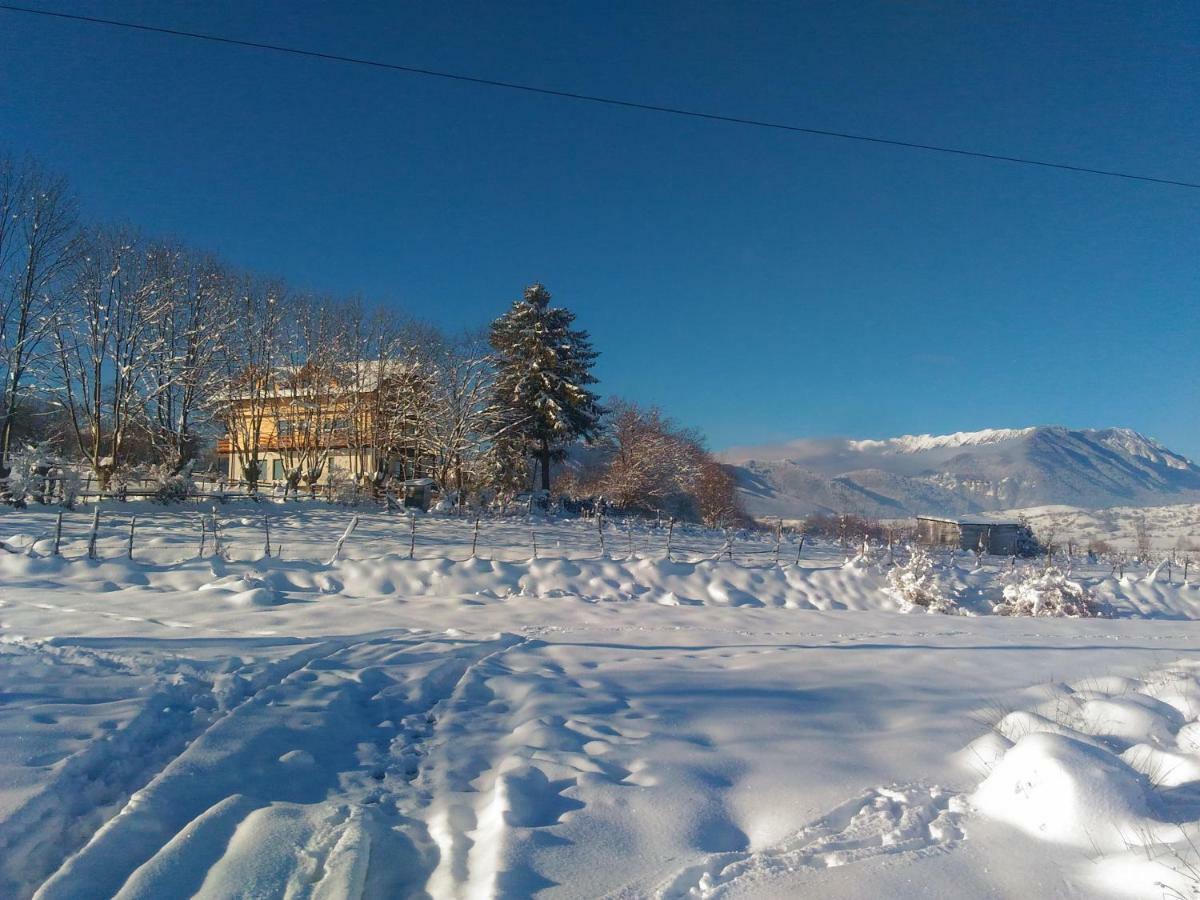 Vila Rem Bran  Bagian luar foto