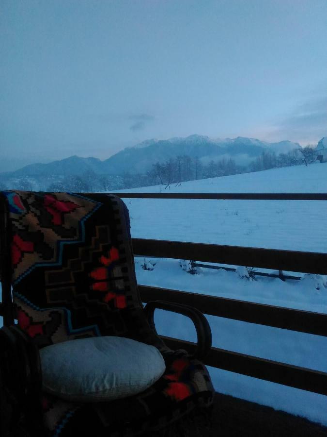 Vila Rem Bran  Bagian luar foto